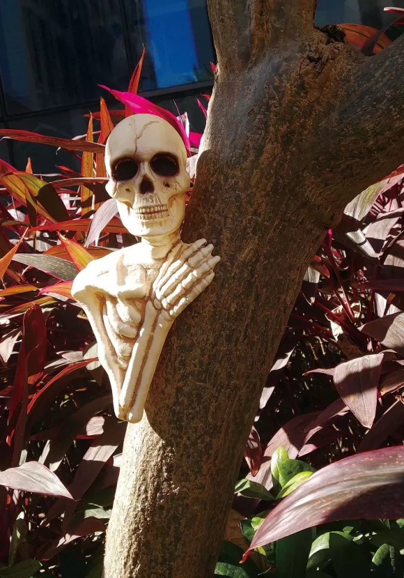 Flash Sale FUN Costumes 14" Skeleton Tree Peeker Halloween Decoration