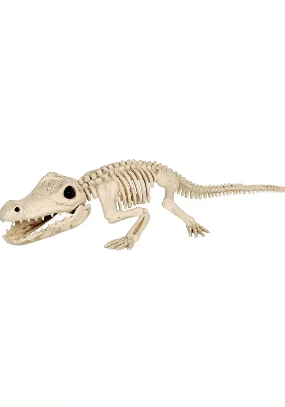 Online FUN Costumes 31" Crocodile Skeleton Halloween Decoration