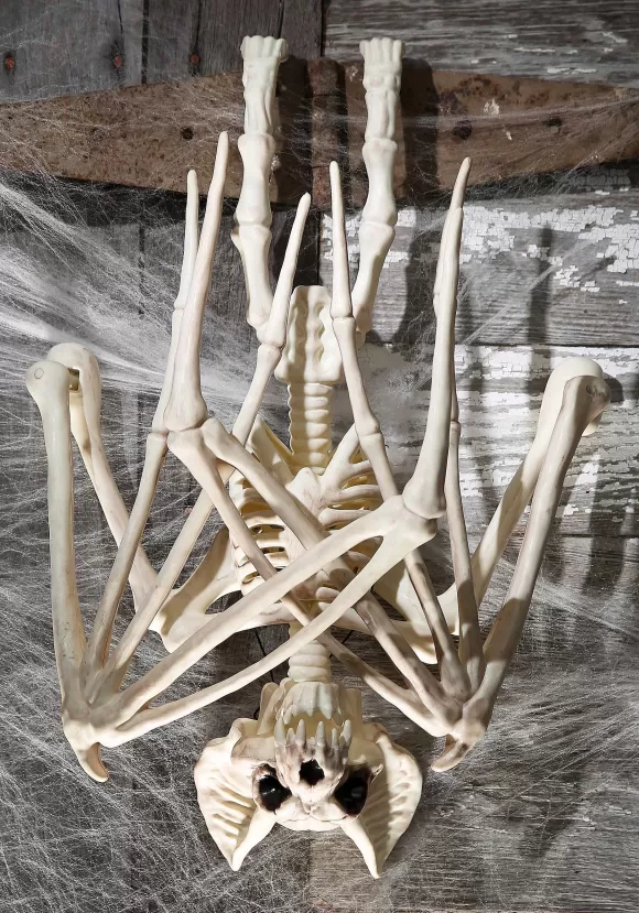 Best Sale Seasons (HK) Ltd. 36'' Nocturnal Bat Skeleton