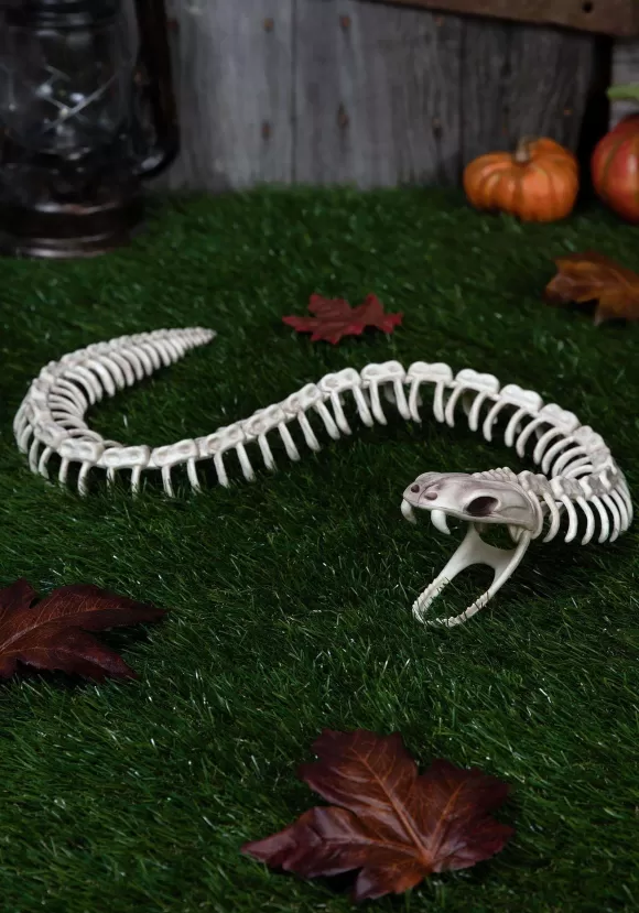 Online FUN Costumes 36" Snake Skeleton Halloween Decoration