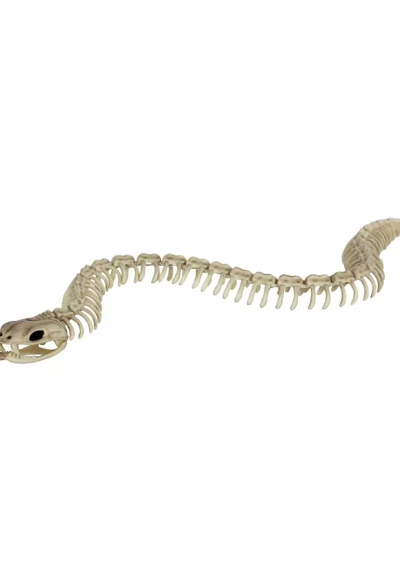 Online FUN Costumes 36" Snake Skeleton Halloween Decoration