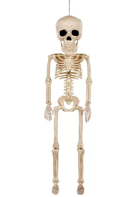 Discount FUN Costumes 38-Inch Super Skull Skeleton Halloween Decoration