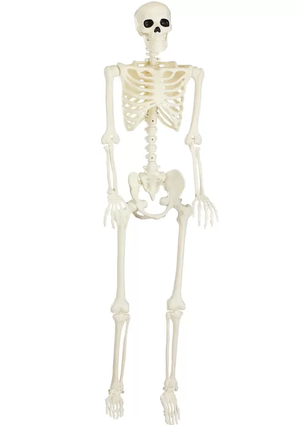 Outlet Seasons (HK) Ltd. 60 Inch Blacklight Ghostly Skeleton Halloween Prop