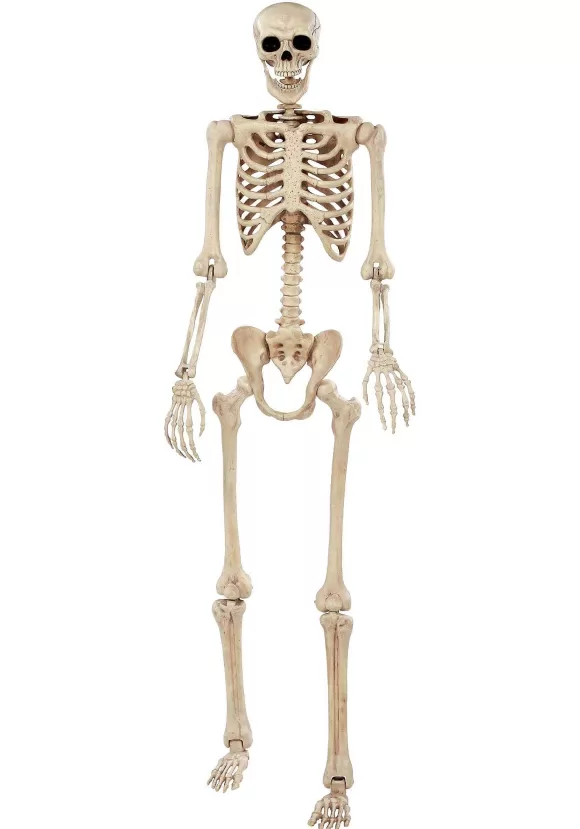 Discount FUN Costumes 74-Inch Skeleton Halloween Decoration