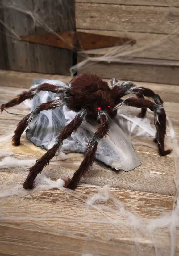 Store Morris Costumes Animated Brown Jumping Spider Halloween Prop