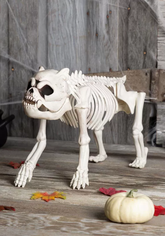 Fashion Seasons USA Inc. Bones The Hungry Hound Skeleton Dog