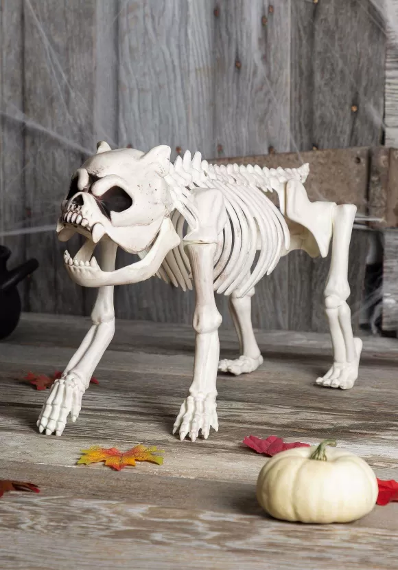 Fashion Seasons USA Inc. Bones The Hungry Hound Skeleton Dog