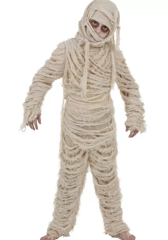 Best FUN Costumes Boys Egyptian Mummy Costume