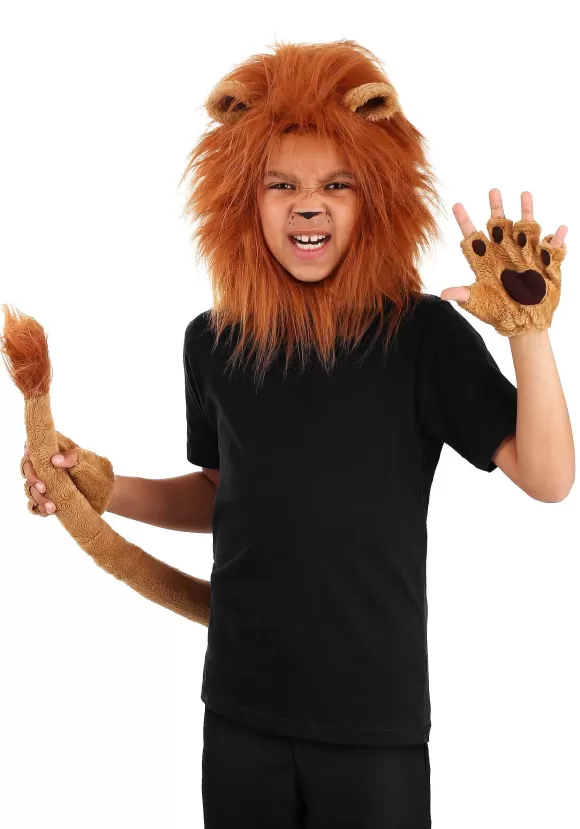 Online FUN Costumes Children Deluxe Lion Kit