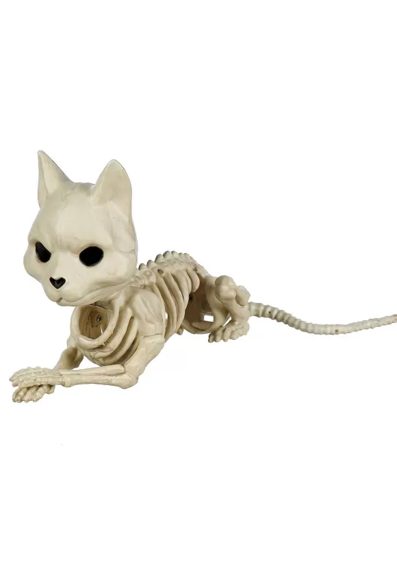 Store Seasons (HK) Ltd. Cute Skeleton Cat Prop Decoration