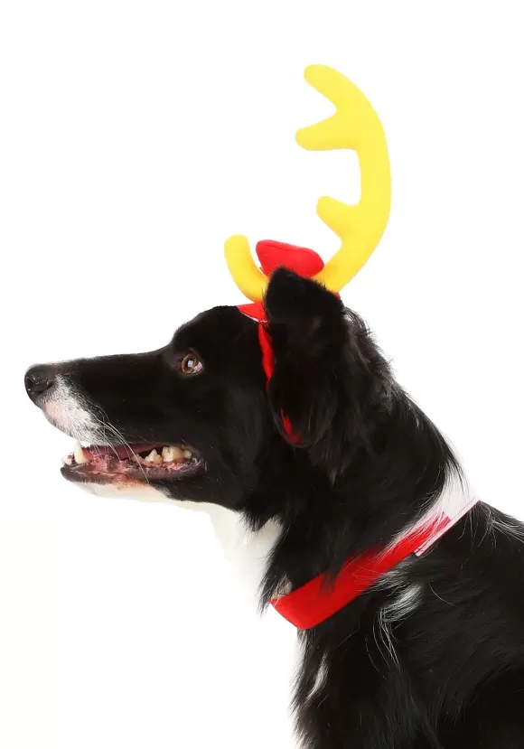 Online FUN Costumes How The Grinch Stole Christmas Max Dog Costume