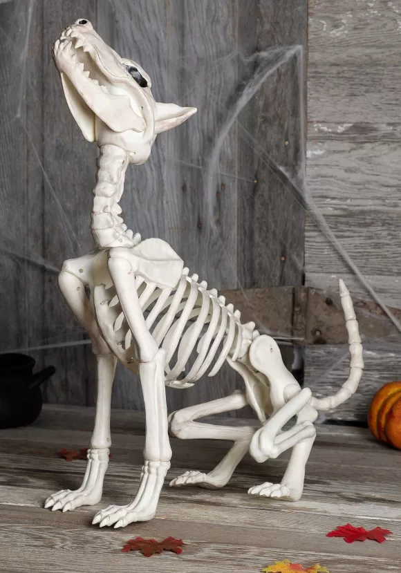 Best Seasons (HK) Ltd. Howl At The Moon Skeleton Dog 27" Halloween Prop