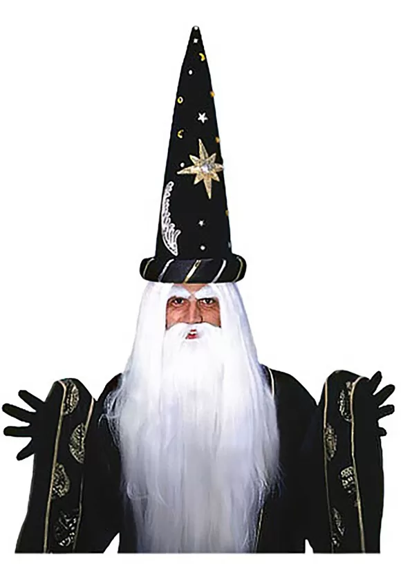 Clearance Forum Novelties, Inc Merlin Wig And Beard Set