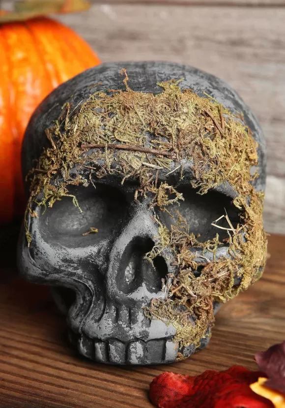 Fashion Fun World Moss Covered Skull Halloween Decoration