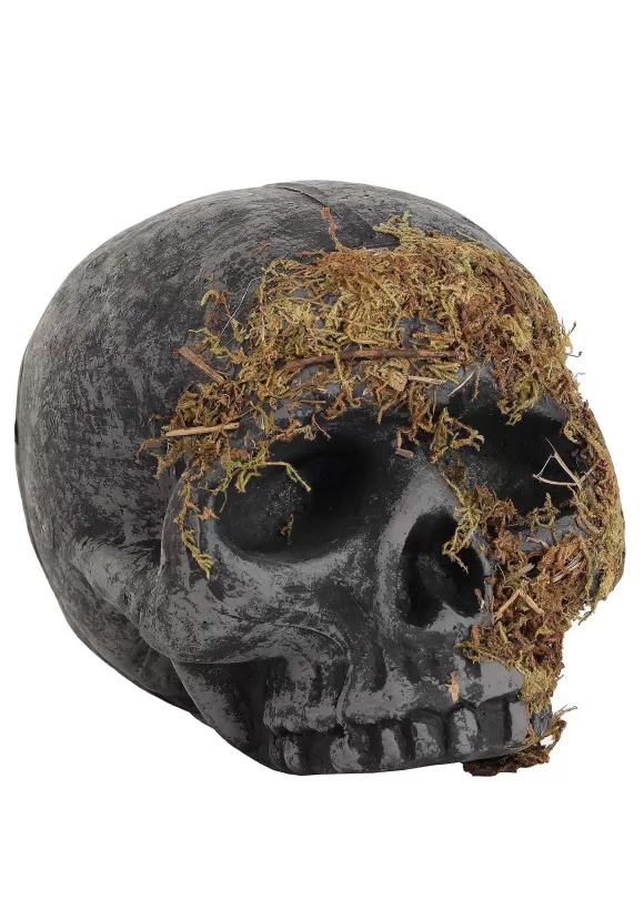 Fashion Fun World Moss Covered Skull Halloween Decoration