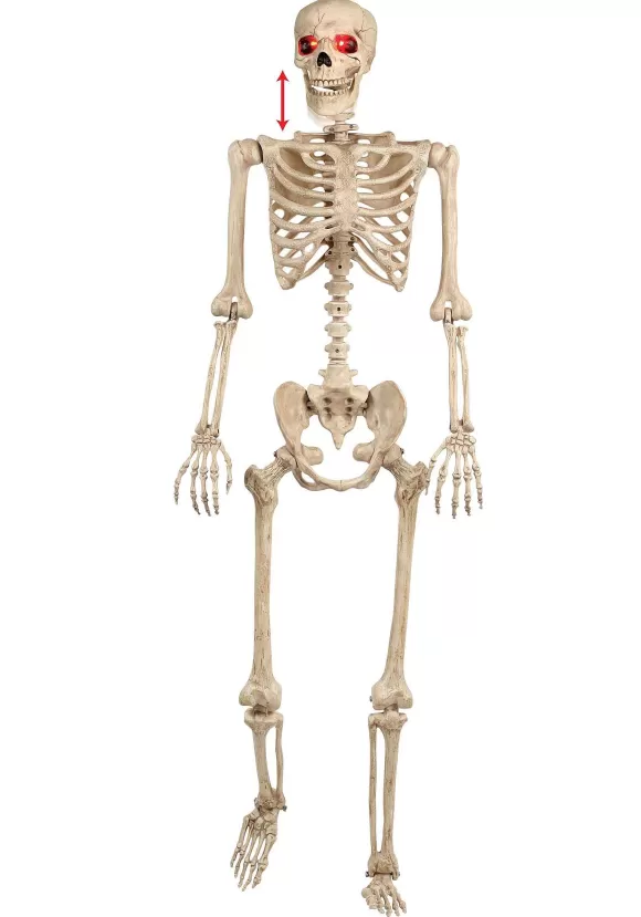 New Seasons (HK) Ltd. Mr. Crazy Bonez Animated Skeleton Prop