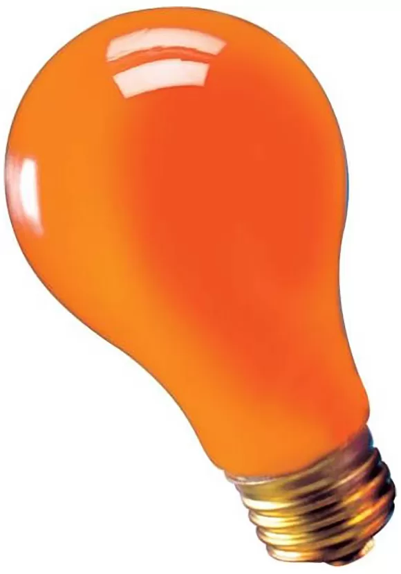 Discount Rubies Costume Co. Inc Orange 75W Light Bulb