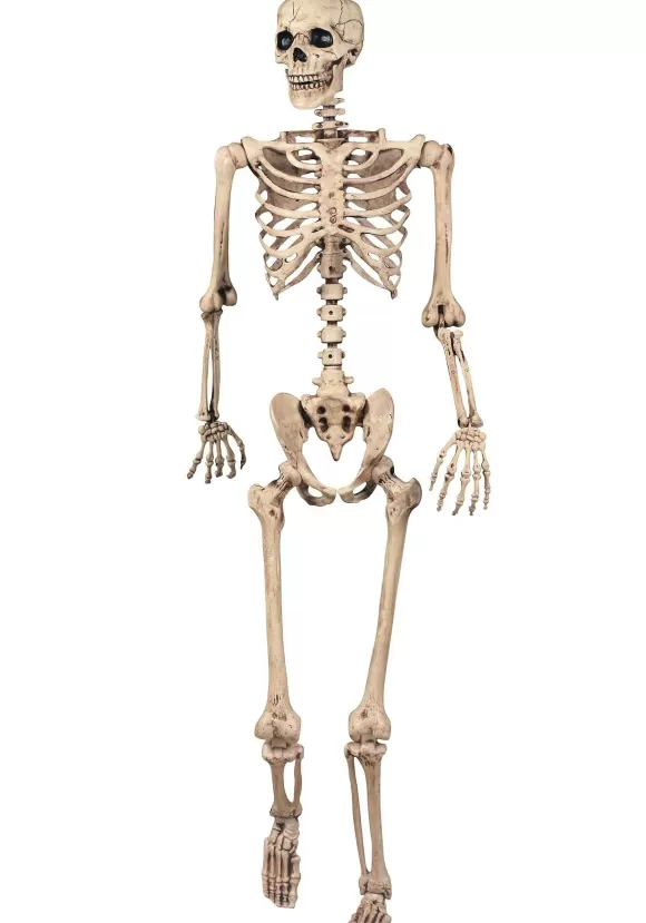 Outlet Seasons (HK) Ltd. Realistic Poseable Skeleton Halloween Prop