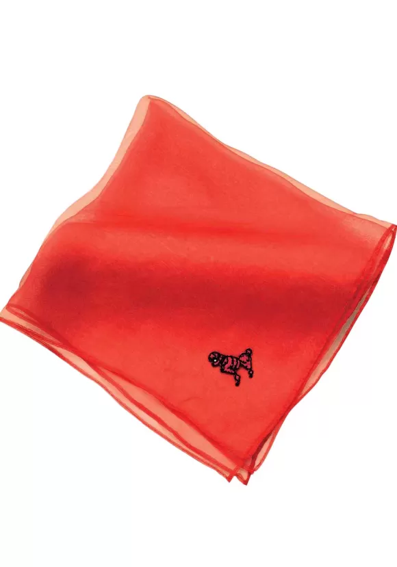 Store Forum Novelties, Inc Red Poodle Scarf