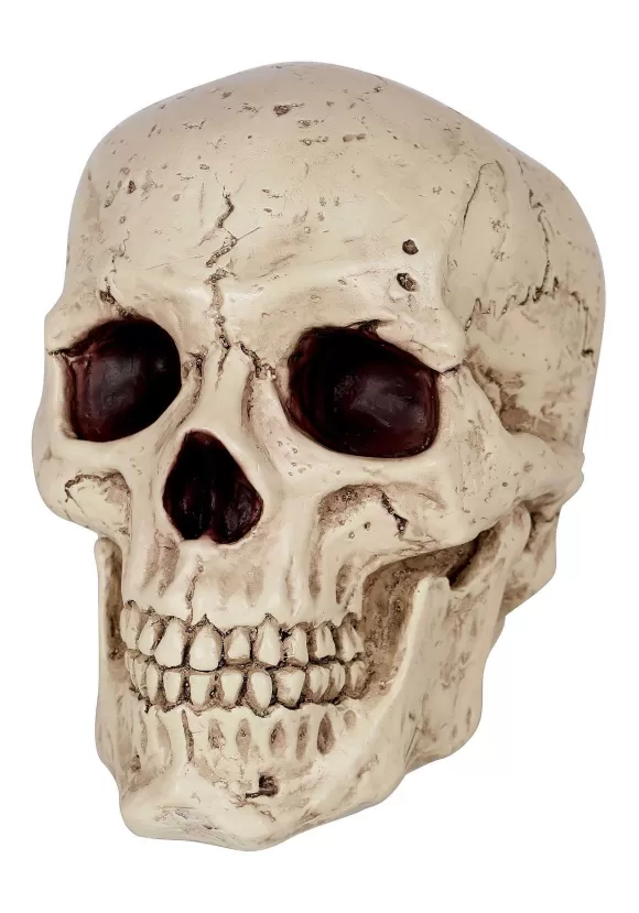 Cheap FUN Costumes Resin Classic Skull Halloween Decoration