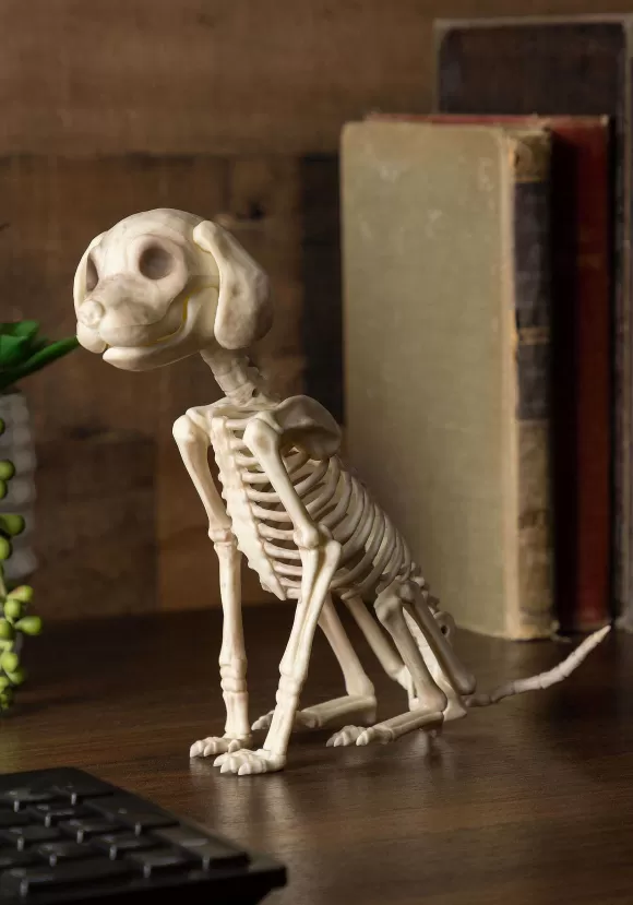 New Seasons (HK) Ltd. Sitting 7.5 Inch Puppy Skeleton Decoration