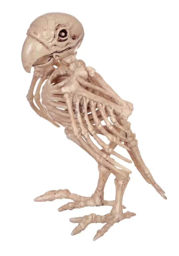 Best Sale Seasons (HK) Ltd. Skeleton Parrot