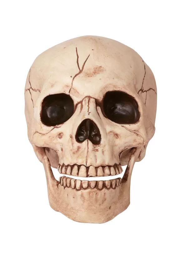 Clearance Seasons (HK) Ltd. Skull With Movable Jaw