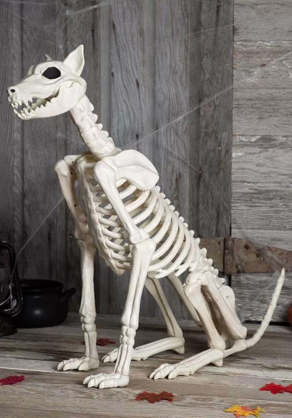 Fashion Seasons (HK) Ltd. Spike The Skeleton Dog