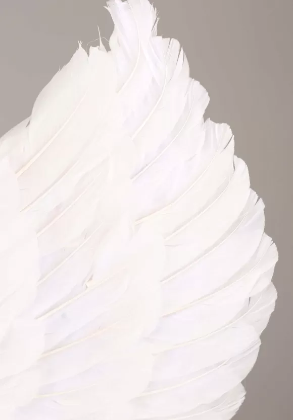 Hot FUN Costumes White Divine Angel Wings